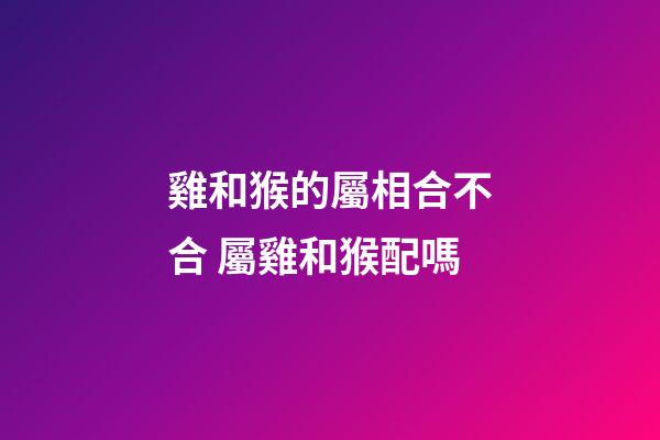 雞和猴的屬相合不合 屬雞和猴配嗎-第1張-觀點-玄機派
